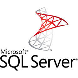 Microsoft SQL Server database programmer Washington DC